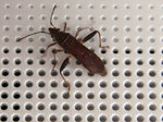 P1110816a640.jpg